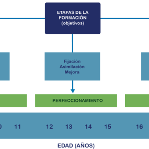 Orientaciones para el entrenamiento de las Jugadas a balón parado en las diferentes etapas de Formación PDF